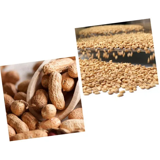Food Crispy Nuts Snacks Flour Coated Roasted Peanuts  for sale