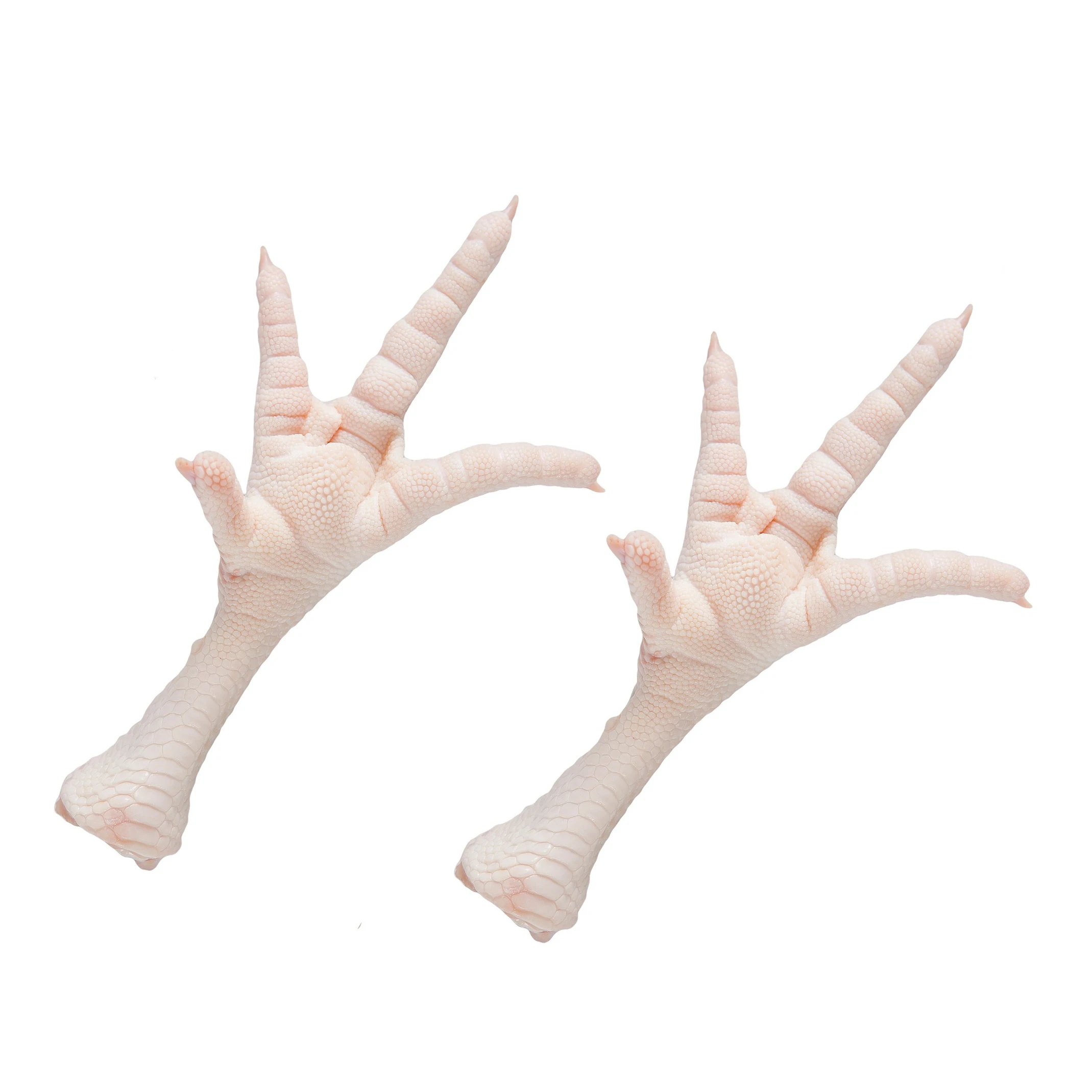 High Quality chicken leg Wholesale Prices Fresh Frozen Halal Frozen Chicken Feet/Paws for Sale