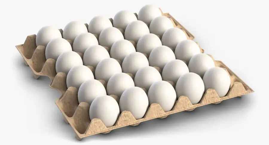 Высококачественное куриное яйцо из Турции, свежее и натуральное яйцо, оптовая цена, яйца из животных