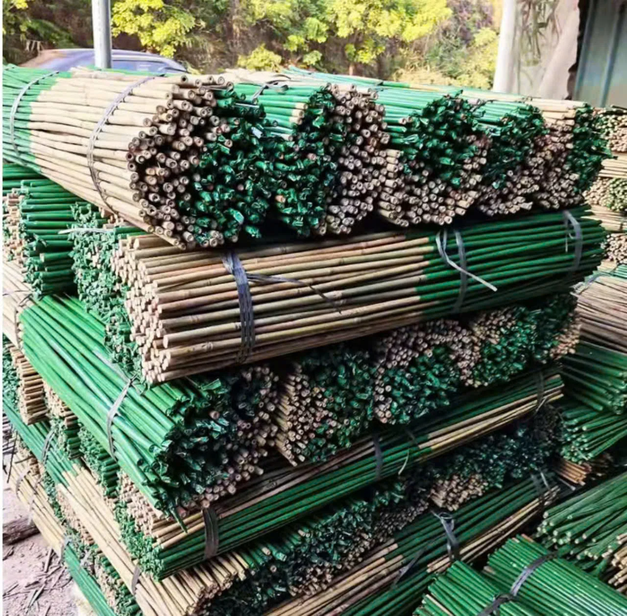 Straight Raw Green Garden Bamboo Stakes For Plant Support Farm Garden Decoration Natural Straight Bamboo Pole