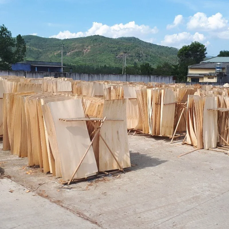Good Price Eucalyptus Veneer for core plywood Natural Veneer Rotary cut origin Vietnam wood veneer