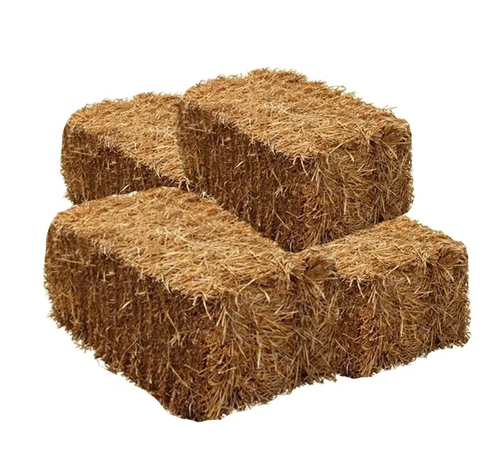 Disease free Yellow Wheat Straw Hay  for animals