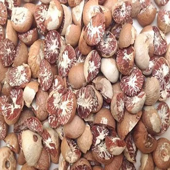 Betel Nut 5.jpg