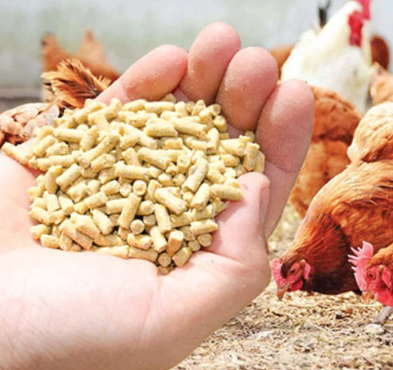 Poultry Feed 46% Protein - Soybean Animal Feed Organic Animal Food Soy Bean Meal Price in Bulk Poultry Feed
