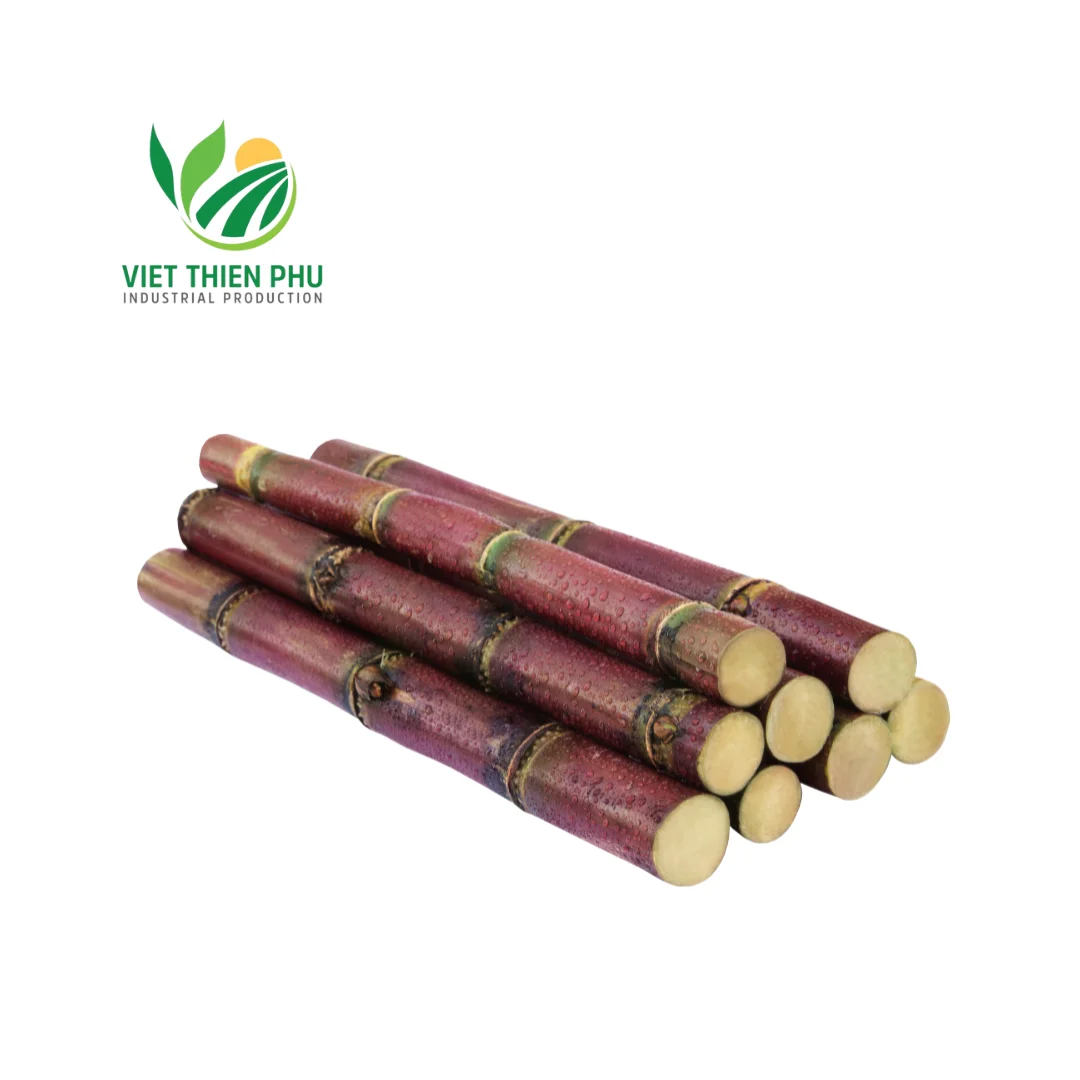 HOT SALE-FROZEN SUGARCANE COMPETITIVE PRICE AND HIGH QUALITY FOR EXPORT FROM VIETNAM GARDENS