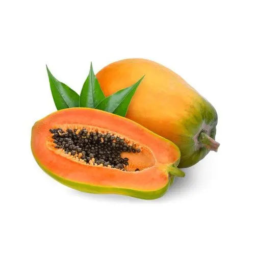 Great Price 2023 Great High Quality 1 Foot Tropical Fresh Fruit Papaya Vietnam Manufacturer