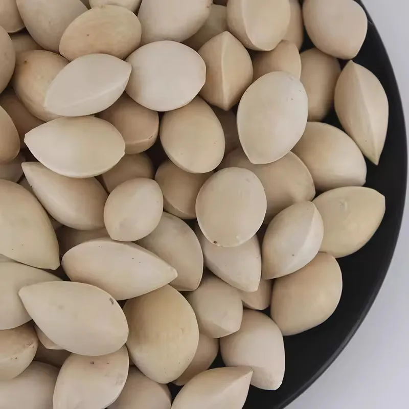 Hot sales Wholesale Best Price Dried Ginkgo Nuts Quality Ginkgo Nuts For Sale In Cheap Price raw natural