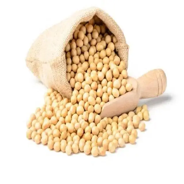 Top High Protein Soyabean Seed /Soy bean For All purposes