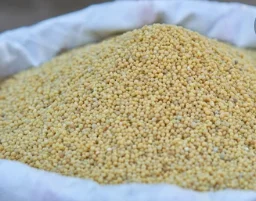 Diammonium Phosphate DAP
