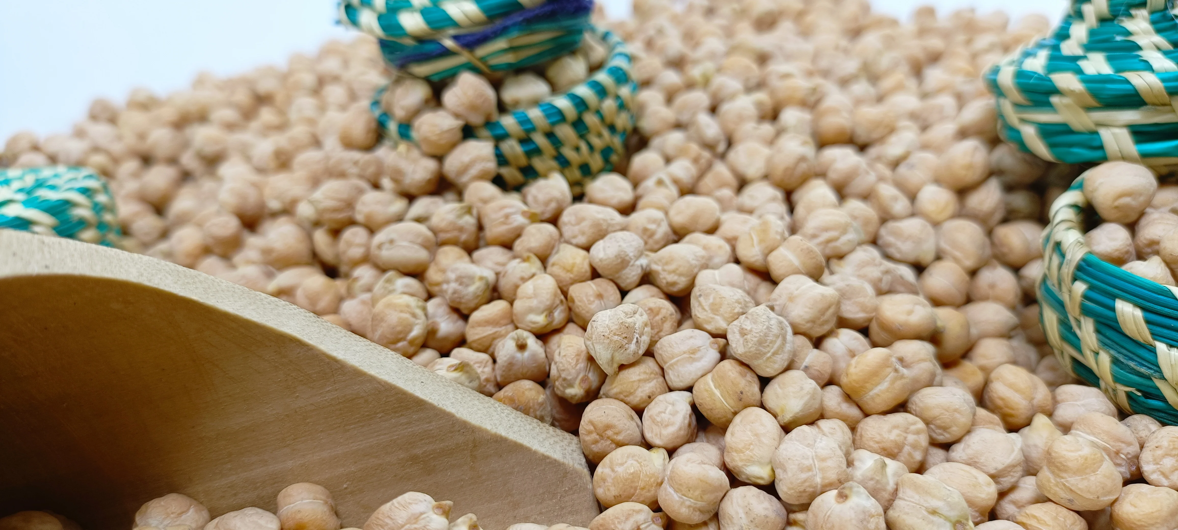 Kabuli Chickpea DP-49