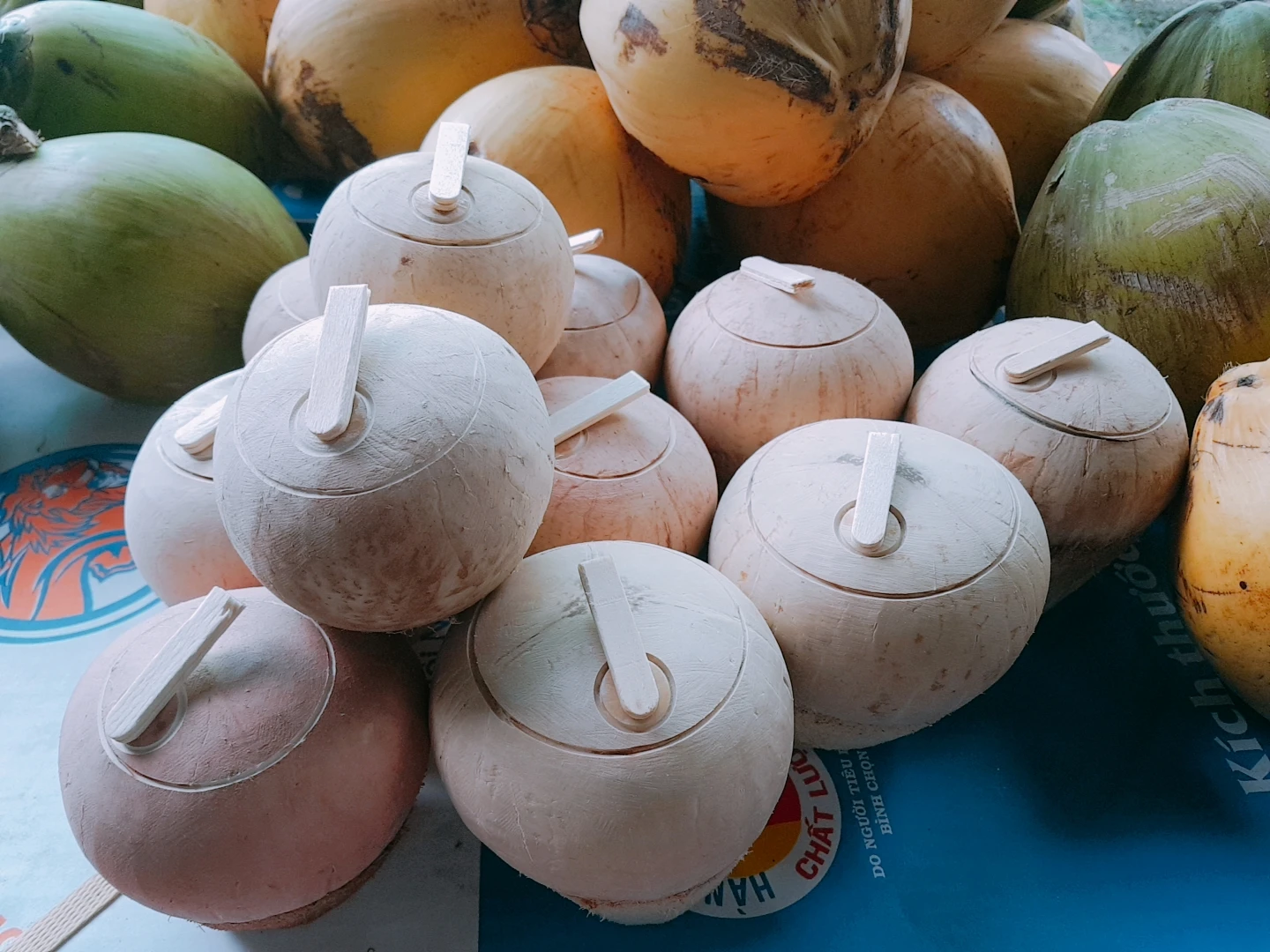 Super Sweet 100% Natural Cheap Price  Coconut With Open Tool High Quality Tasty Hot Selling From Vietnam 2024