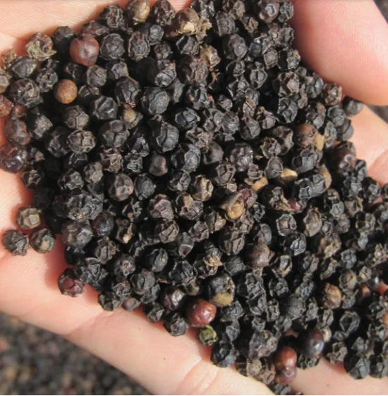 Разумные цены порошок свежего черного перца с сушеным стилем для приготовления пищи экспортерами 84869981238