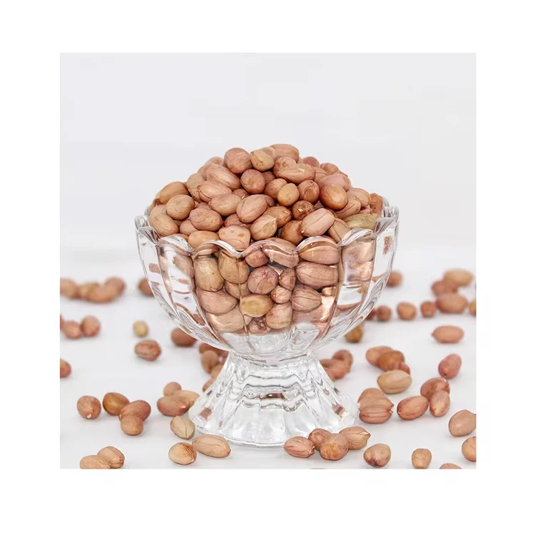 Peanut Kernel 100% Organic Groundnut Raw Peanut Sortex Cleaned Oil Seeds Peanuts