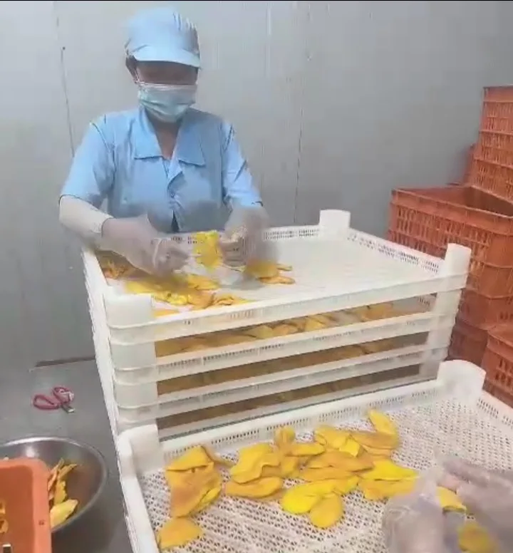 Cheap Cheap Cheap* SOFT DRIED MANGO - Cat Chu, Hoa Loc VIETNAM