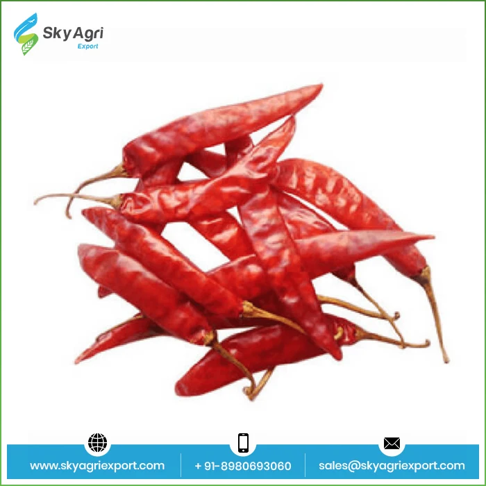 Supplier Of Indian Dry Red Chili Paper Powder Spices Plastic Bag Paper Red Chilli Pepper