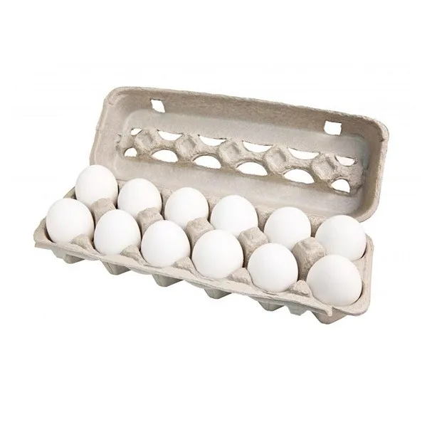 Broiler Hatching Eggs Cobb 500 and Ross 308 / Chicken