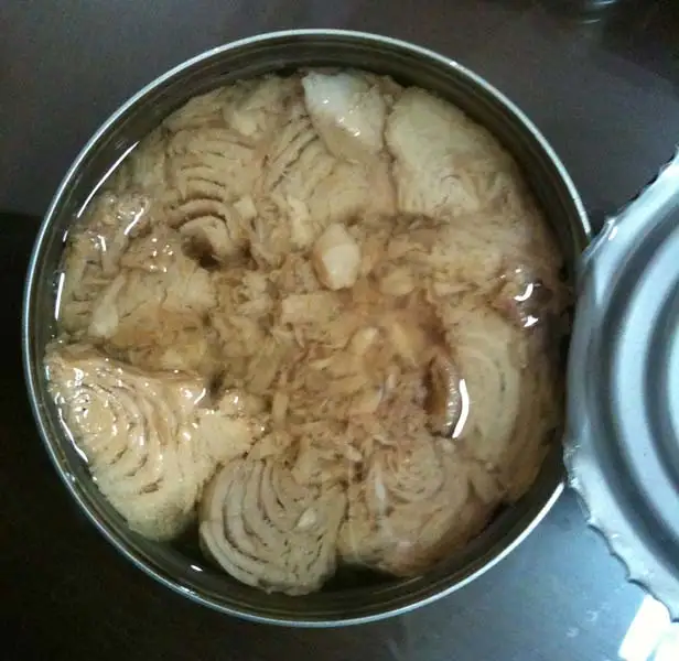Canned Tuna in Oil For Sale
