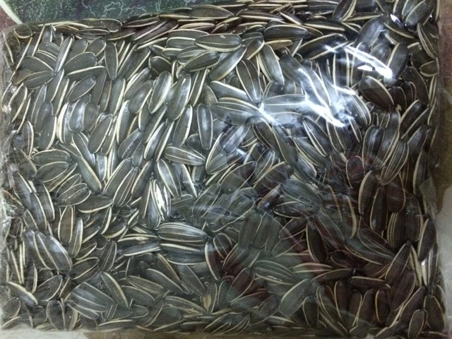 Ready to Ship Good Quality Hot Sale Sunflower Seeds Made In Viet Nam