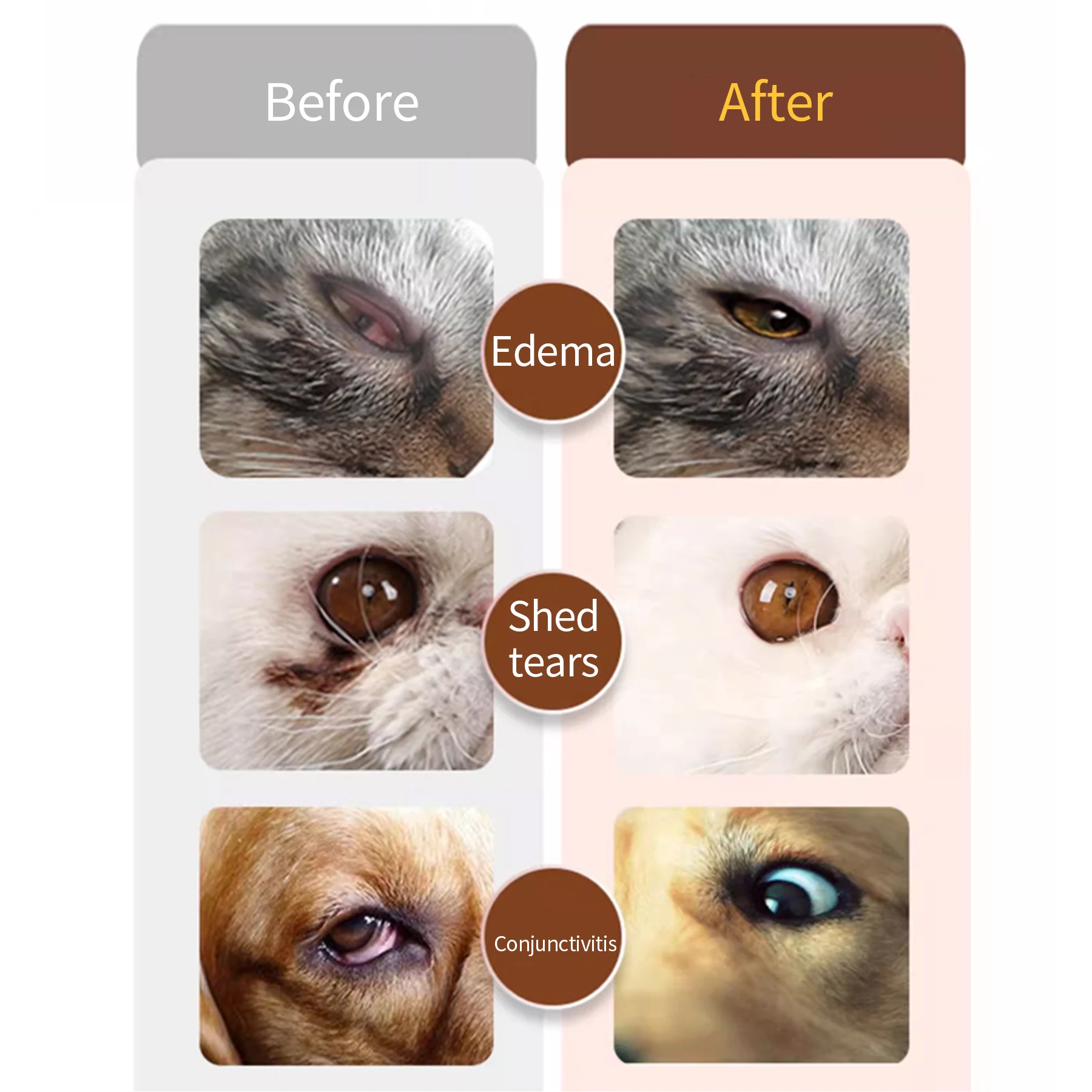 Private Label Lucky Paws Pets Lucky Paws TEAR STAIN REMOVER( For Dogs & Cats) pets eye drop anti-bacterial pet eye drops