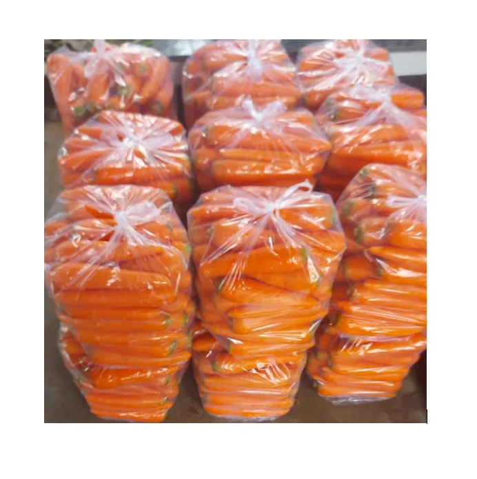 Wholesales fresh carrot various sizes to choose - Reliable Vietnamese Supplier - Long Shelf Life