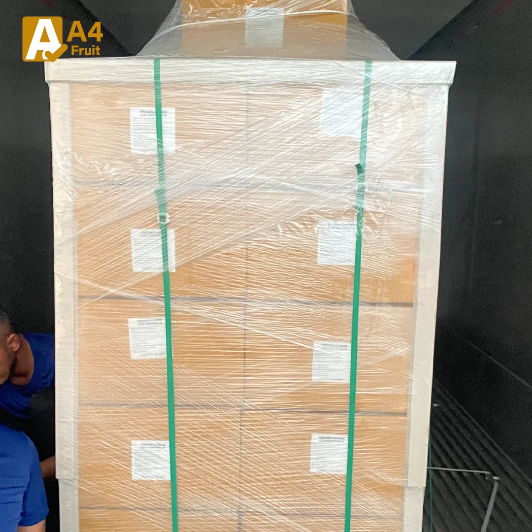 Exclusive premium-grade Monthong durian, available in fresh and frozen varieties, top-quality from Thailand.