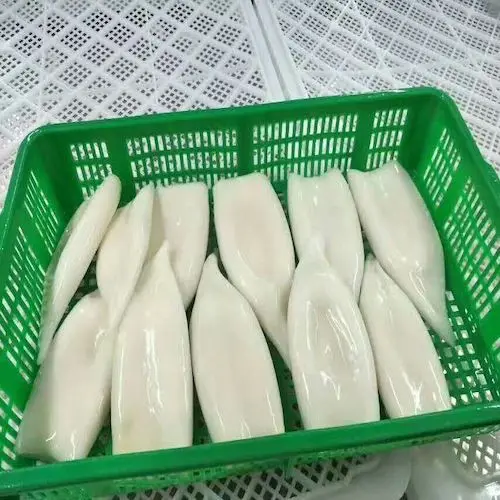New Arrival High Quality Frozen Seafood Squid Frozen Squid slice