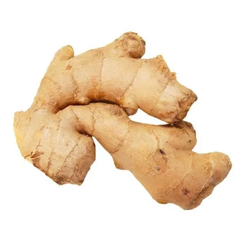 High quality fresh Ginger exporters wholesale price available.