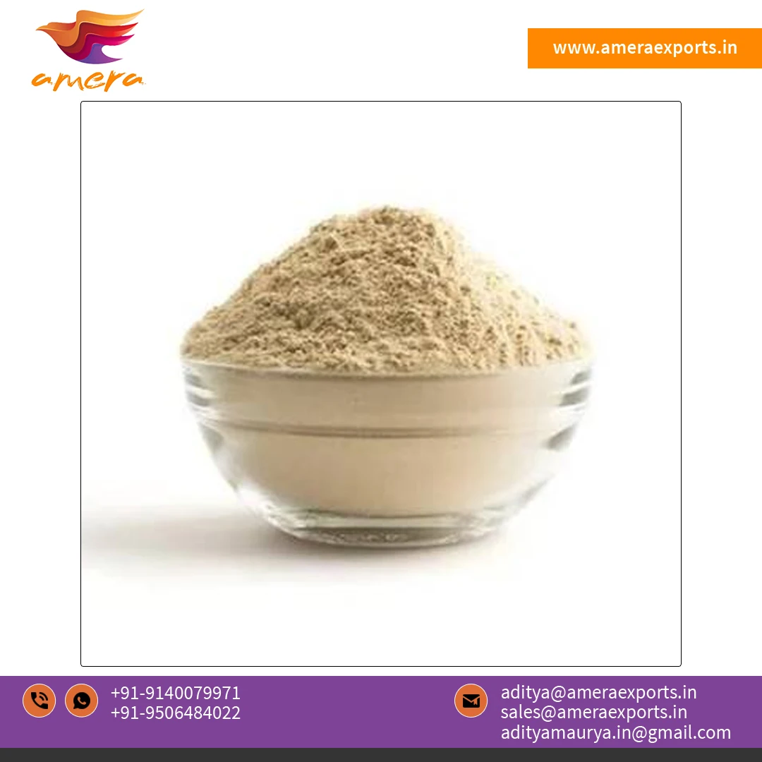 Hot Selling Premium Quality 100% Pure and Natural Herbal Extract Health Food Ashwagandha Root Extract Powder from India