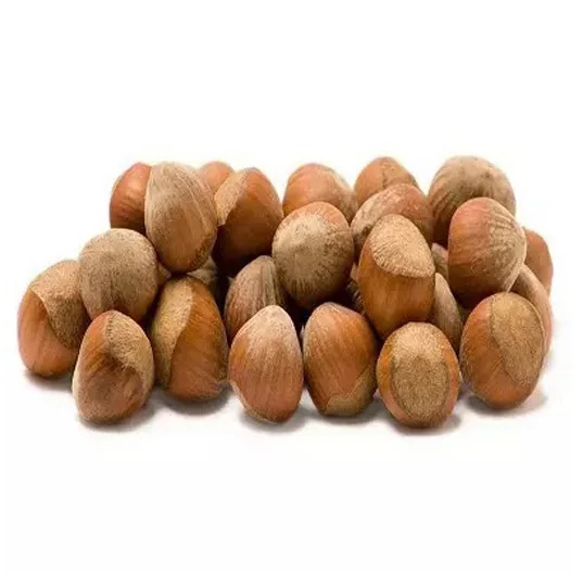 Raw Hazelnut / Organic Grade Hazelnut/Hazel Nuts New Harvest 17-19 mm Chubby Organic & Natural Top Quality Bulk