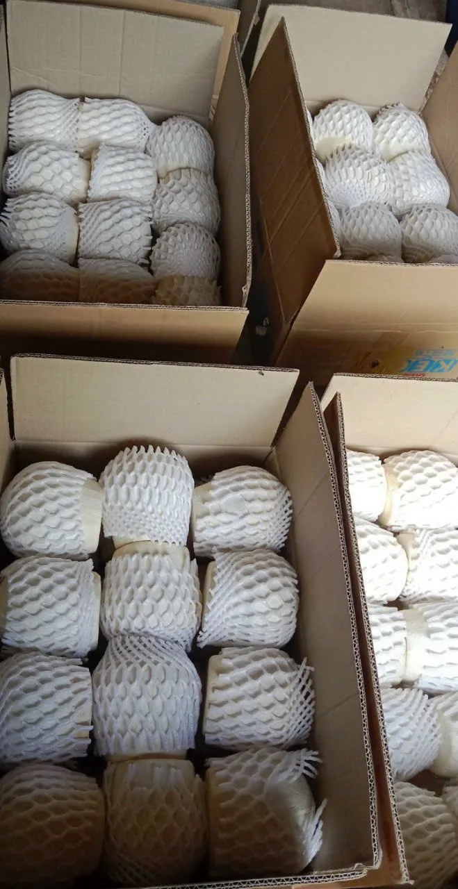 SEMI POLISHED COCONUT High Quality Sweet Flavor Natural Made In Vietnam Wholesale 2024 Natural Drinks  (tel 0084366808683)
