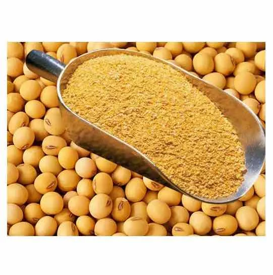 Protein Bulk Poultry Feed Food Grade Soybean Production Line Full Fat Soybean Meal For Chickens Sale