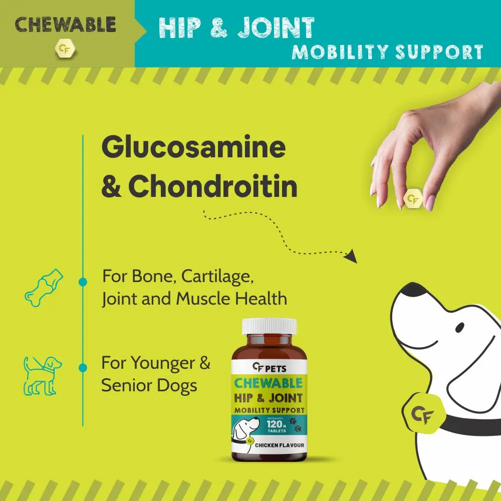 Chewable Hip and Joint Pain Food Supplements for Dogs with Glucosamine, Chondroitin & MSM Complete Mobility & Joint Support