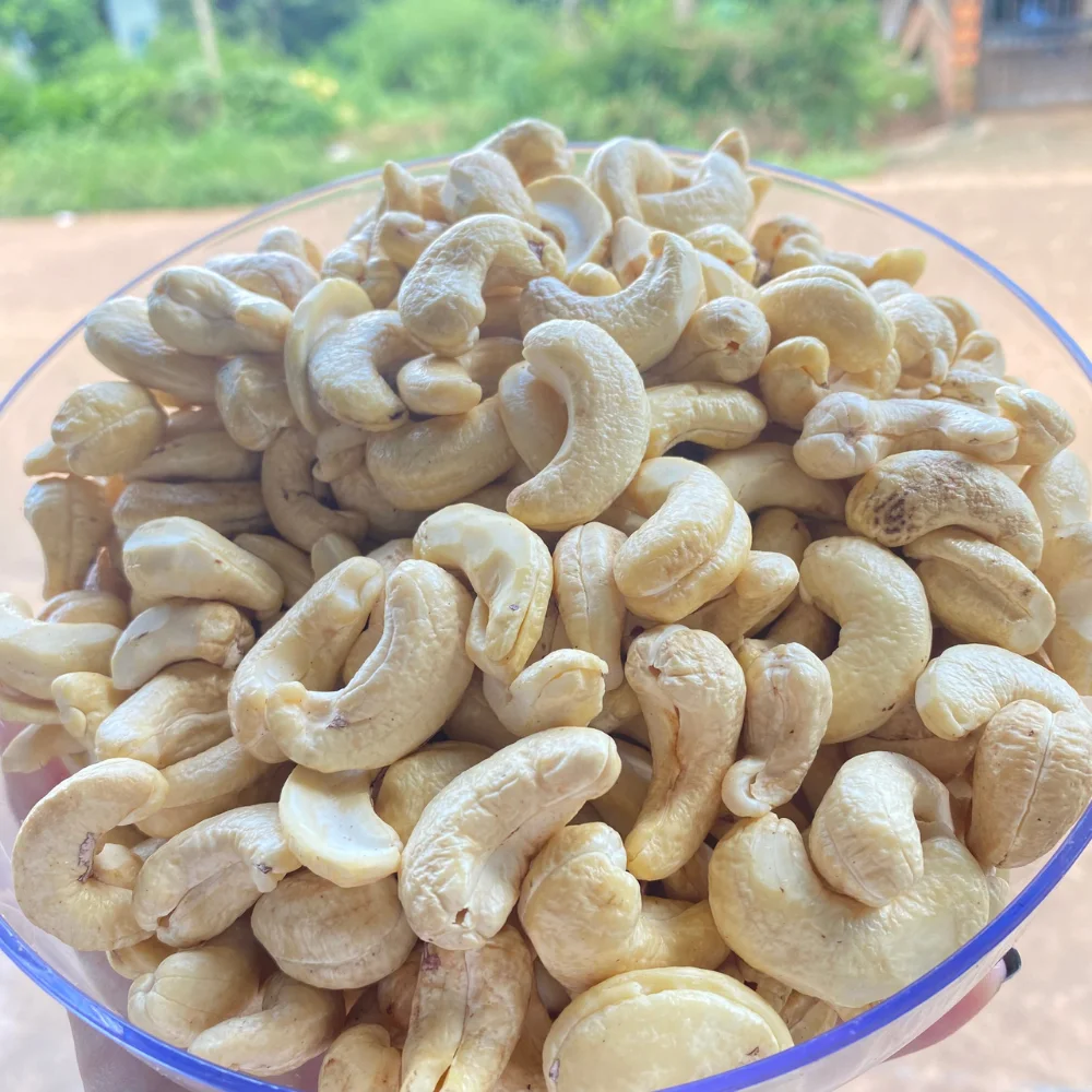 Vietnam Trusted Supplier Raw Cashew Nuts Cashew Nuts Pistachio Nuts Exported To Us, Eu, Middle East