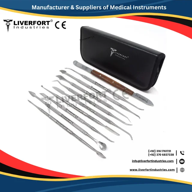 German Dental Wax & Modelling Carvers Lecron Mixing Spatula Laboratory Technician Kit Set of 10 Surgical Medical Instruments CE