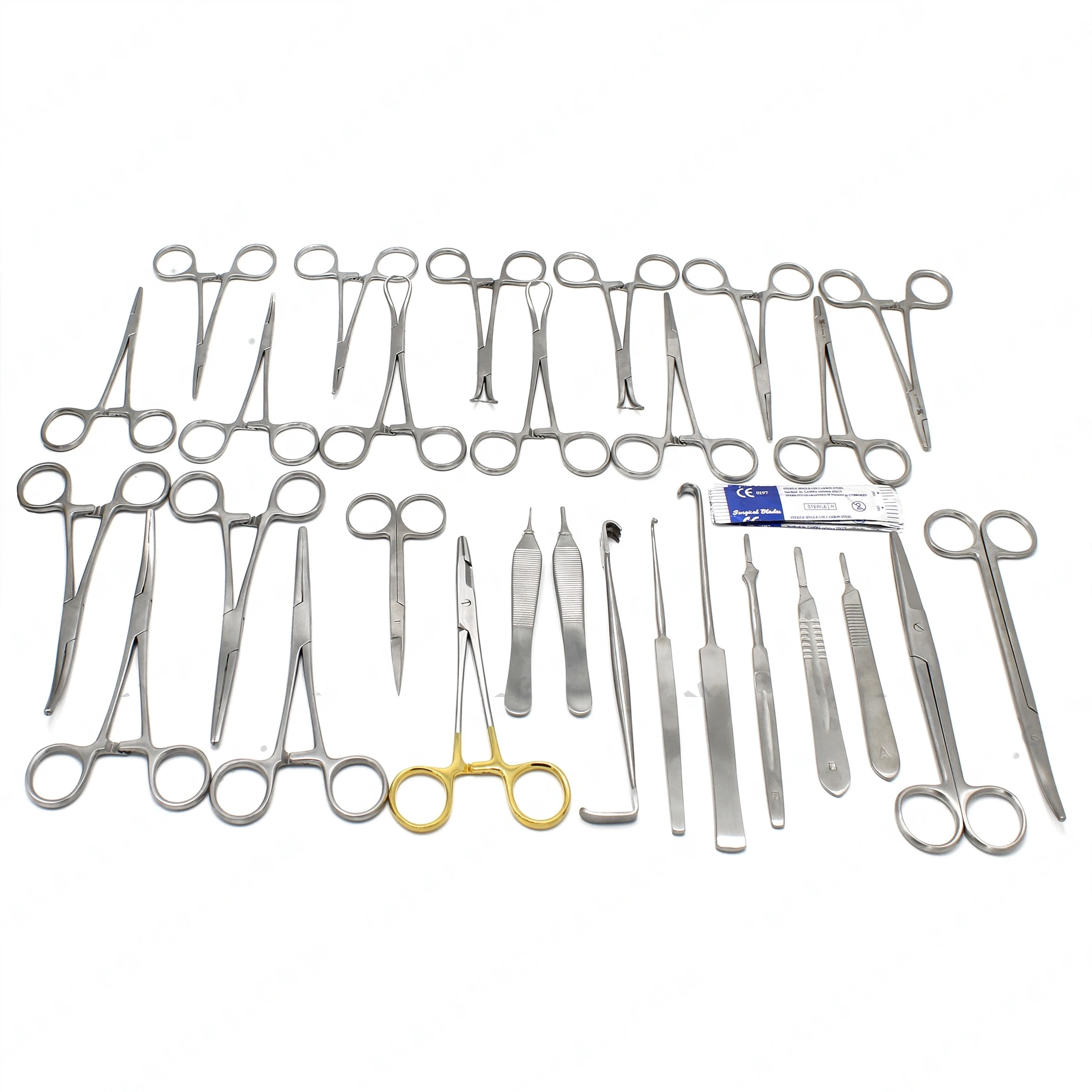 Veterinary Aminal Spay Surgical Kit 29 pcs Instruments Veterinary Surgical Instruments Kits Wholesale Custom Made Surgery Tools