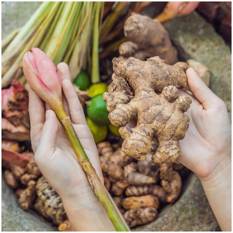 Оптовая цена, экспортер качества, оптовая продажа, новый урожай, натуральный супер свежий овощ, бразильский имбирь