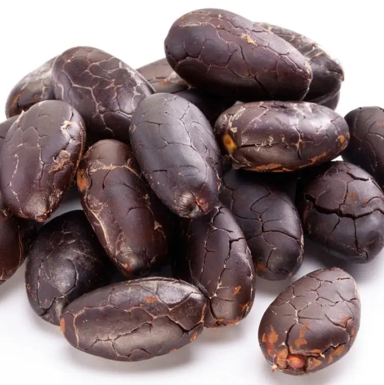 Quality Raw Dried Cocoa/High Quality Ghana  Cocoa Beans - Cacao Beans - Chocolate factory price