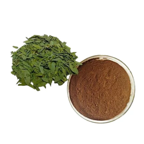 Organic Grade Sennoside Senna Leaves Leaf Extracts Powder For Weight Loss Uses By Suppliers in good price