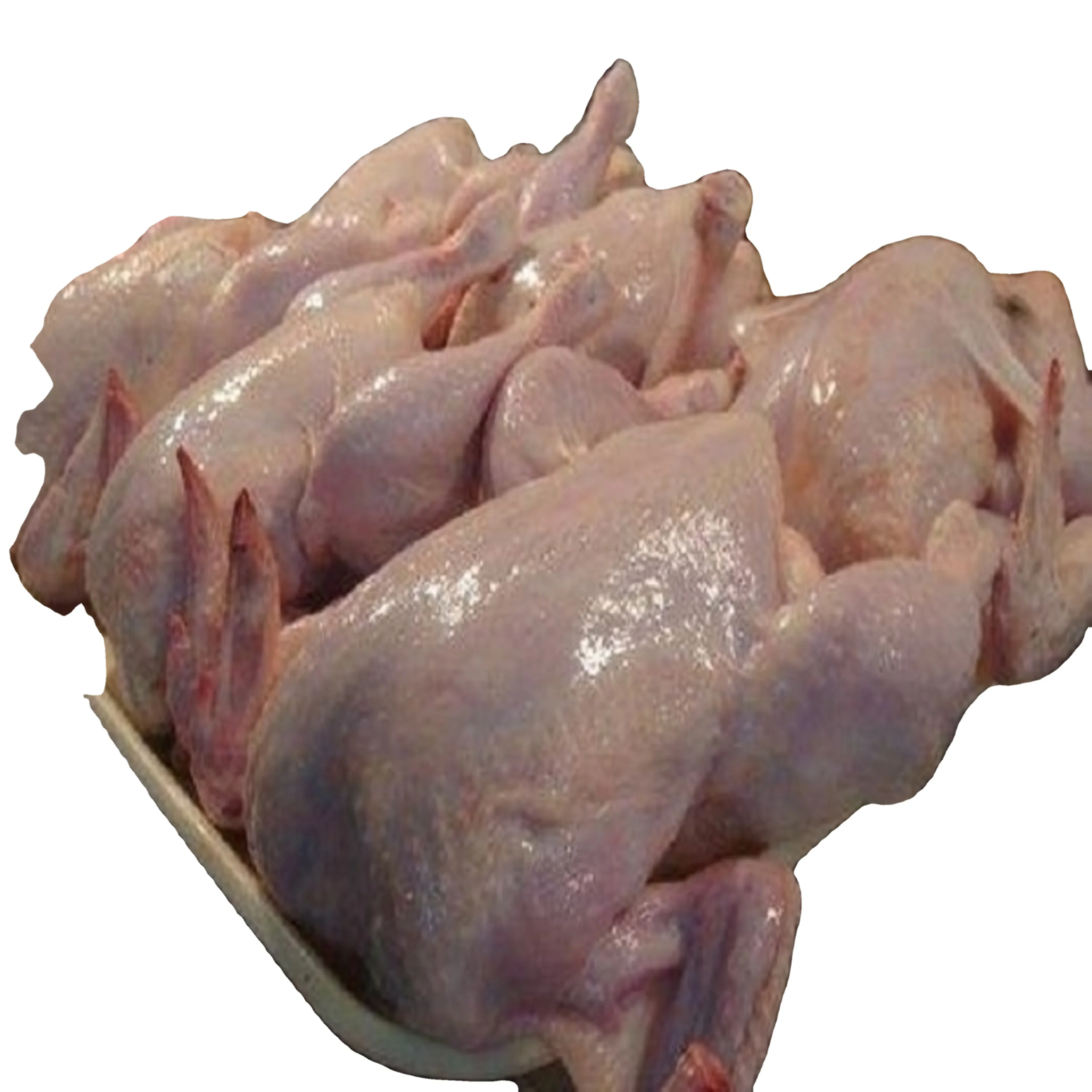BUY BULK HALAL FROZEN WHOLE CHICKEN