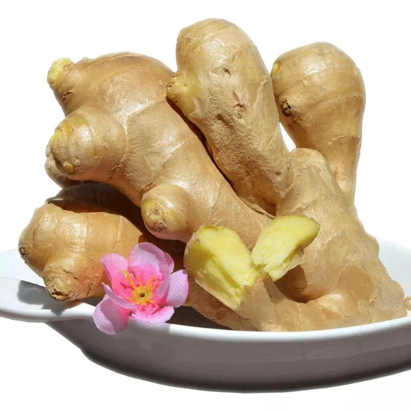 new crop of fresh ginger and garlic