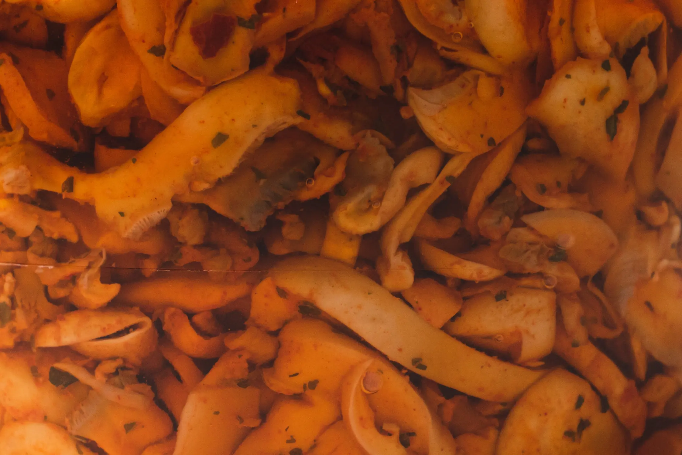 Handmade 3,5Kg Preserved Spicy Mushrooms from Italy Perfect as Starters or Appetizer