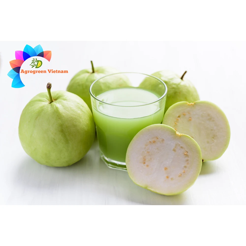 Exporter hot sale Guava juice high quality fruit juice concentrates Tropical Fruit Juice from Vietnam