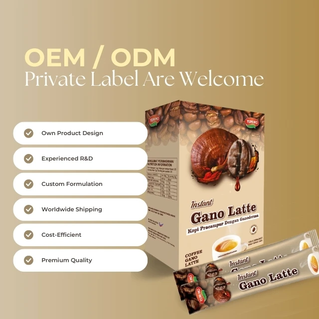 Премиум Рейши экстракт растворимого кофе Ganoderma мягкий вкус крем шоколад сахар сублимированный Халяль сертифицированная коробка для сыпучих