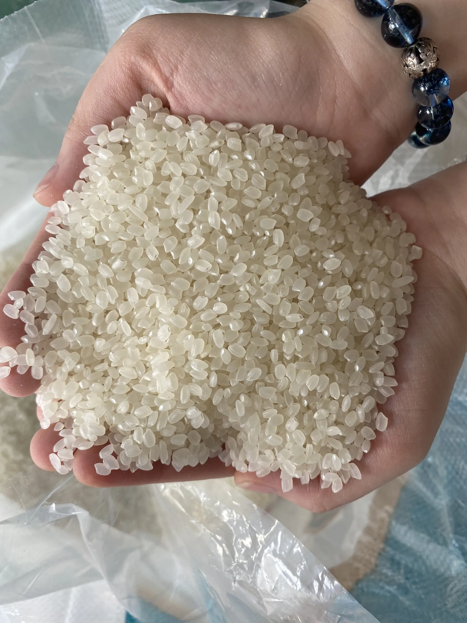 Top Producer Japanese rice food supplier japonica sushi rice riz riso round rice 2023 - WA:84-975807426 Lucy