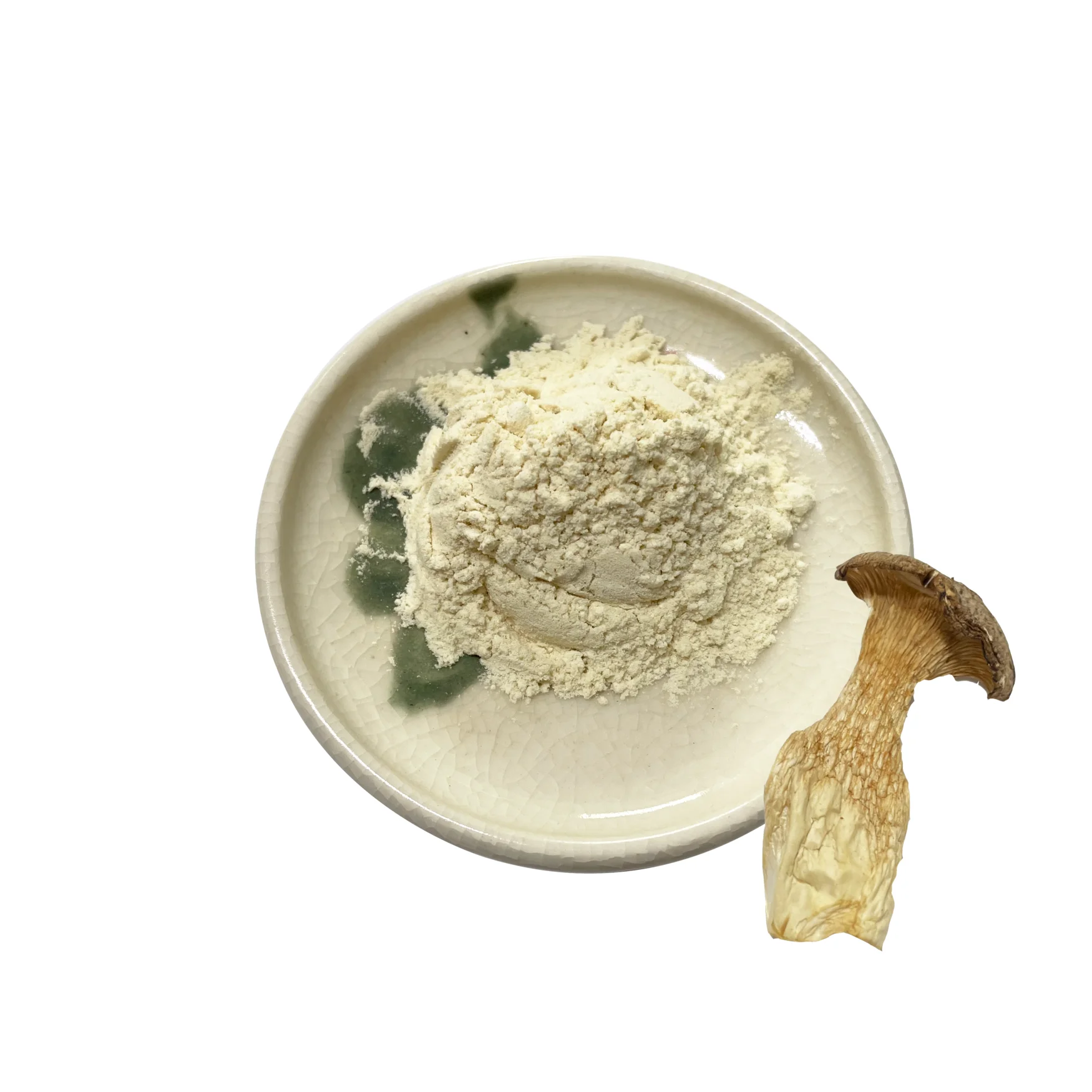 French horn mushroom eryngi extract mushroom extract powder