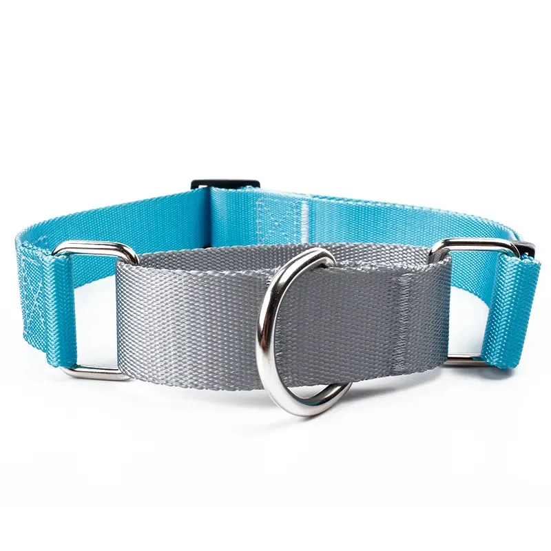 Best Quality 2023 New Arrivals Martingale Durable Dog Collar personalized print logo custom design Pet Dog Collars