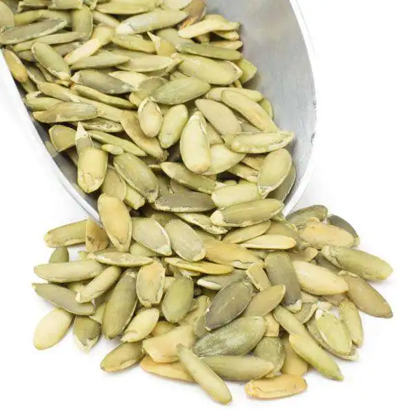 Fresh Pumpkin Kernels/Seeds from Turkey bulk supply