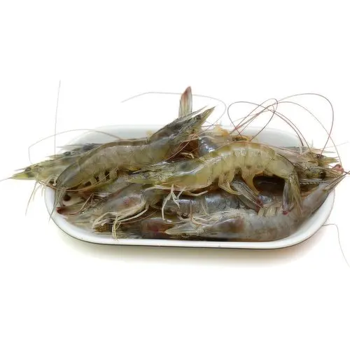 White Shrimp Professional Team Export Seafood Fresh Vaccum Bag Packaging Trading Frozen