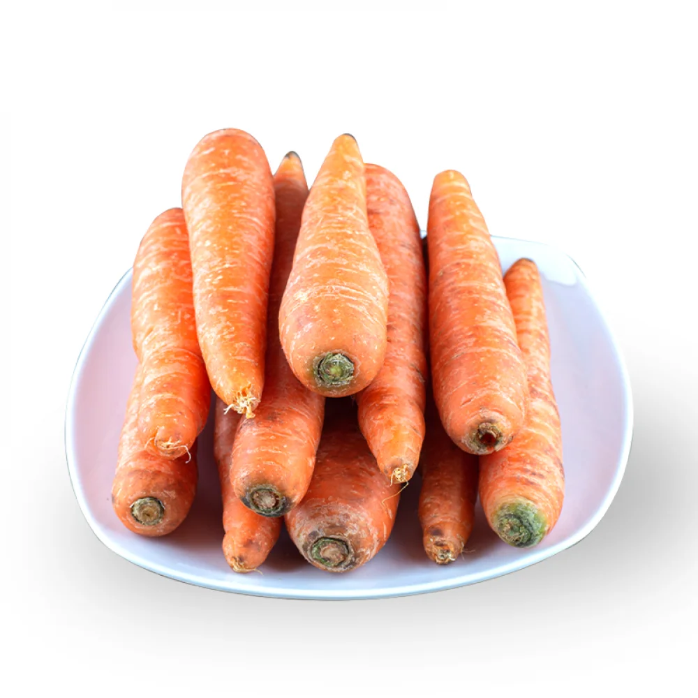 Carrot fresh organic carrots high quality in carton S M L professional export fresh carrot hot sale