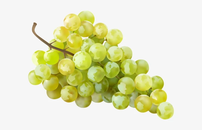 Export Quality Sweet Green Grapes with Good Sweet Content and Flavorful Available at Wholesale Price from Indian Exporter